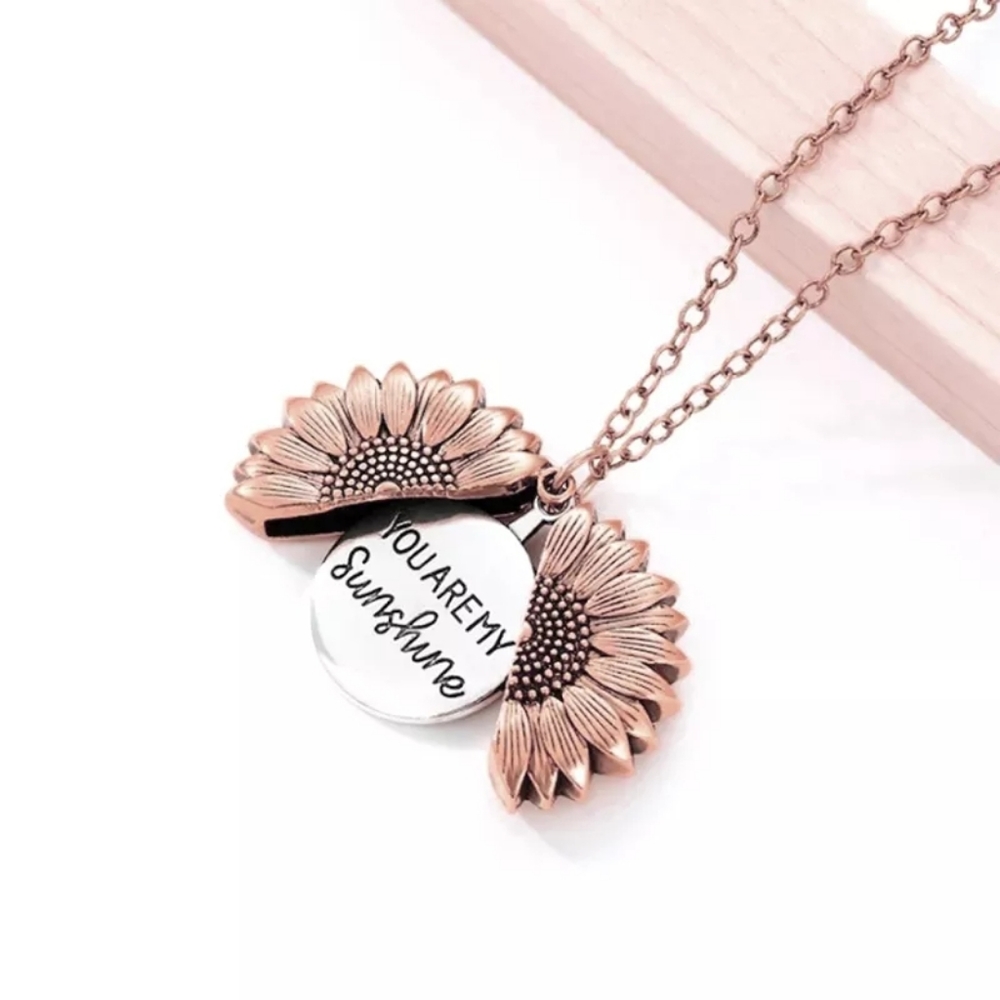 Rose Gold "You Are My Sunshine" Pennant 🌸